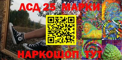прущие грибы Комсомольск-на-Амуре