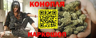 прущие грибы Комсомольск-на-Амуре