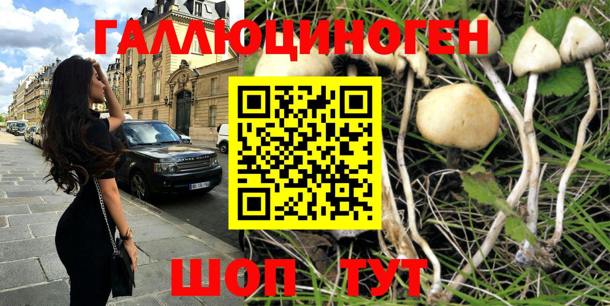Псилоцибиновые грибы MAGIC MUSHROOMS  Вход с VPN  дарнет шоп  Краснокаменск 